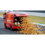 52NUGGETZ price logo