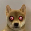 _____________________________________________________________AI price logo
