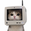 ______________________________________________CAT price logo