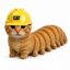 __________________________________________CAT price logo