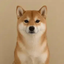 ________________________________________INU price logo