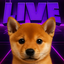 ______________________________________DOGE price logo