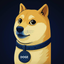 __________________________________DOGE price logo