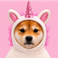 ________________________________INU price logo