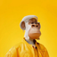 ______________________________APE price logo