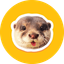 ______________________________DEGEN price logo