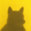 ____________________________INU price logo