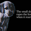 ___________________________DOG price logo