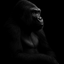 __________________________APE price logo