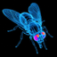 __________________________FLY price logo