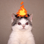 ________________________BURN price logo