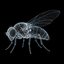 _____________________FLY price logo