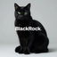_________________BCAT price logo