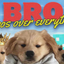 ________________BRO price logo