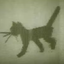 ________________KITTY price logo