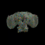 _______________BRAIN price logo