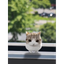_______________SCAT price logo