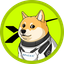 ______________DOGE1 price logo