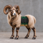 ______________RAM price logo