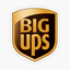 _____________BIG price logo