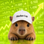 _____________CAP price logo