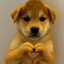 _____________INU price logo