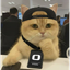 _____________PCAT price logo