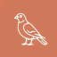 ____________BIRD price logo