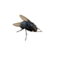 ____________FLY price logo
