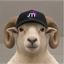 ____________RAM price logo