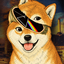 ___________SDOGE price logo