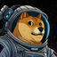 __________DOGE1 price logo
