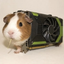 __________GPU price logo