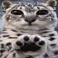 __________PAWS price logo