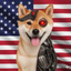 _________AMERICA price logo