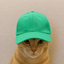 _________CAP price logo