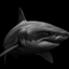 _________SHARK price logo