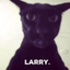 ________LARRY price logo