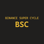 _______BSC price logo