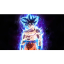 _______GOKU price logo
