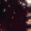 ______ANI price logo