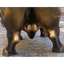 ______BALLS price logo