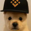 ______PUP price logo