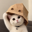 ______TCAT price logo