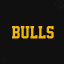_____BULLS price logo