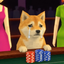 _____CASINU price logo