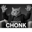 _____CHONK price logo