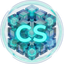 _____CS price logo