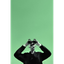 _____FAR price logo