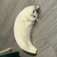 _____MOONCAT price logo